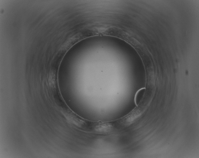 X0000071770274200606301203