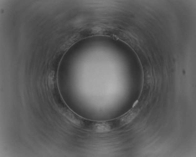 X0000071770275200606301203