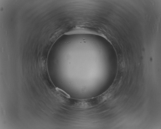 X0000071770276200606301203