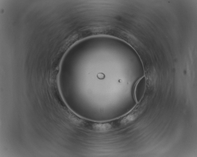 X0000071770277200606301203