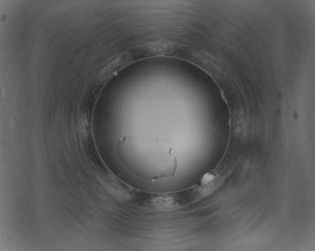 X0000071770279200606301203