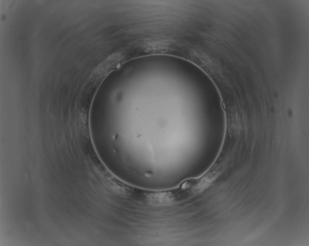 X0000071770281200606301203