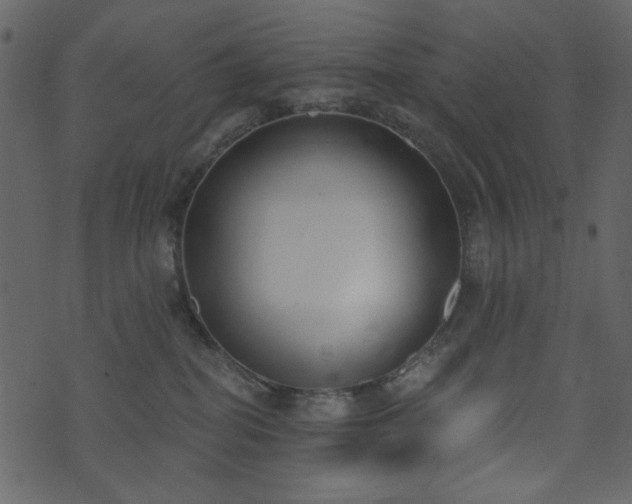 X0000071770282200606301203