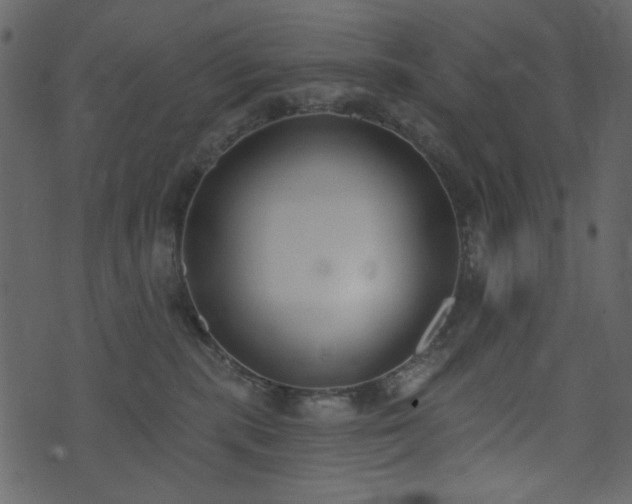 X0000071770283200606301203