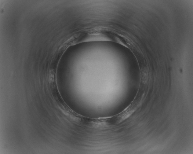 X0000071770284200606301203