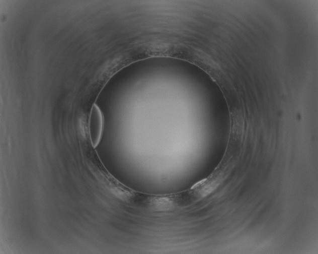 X0000071770287200606301203