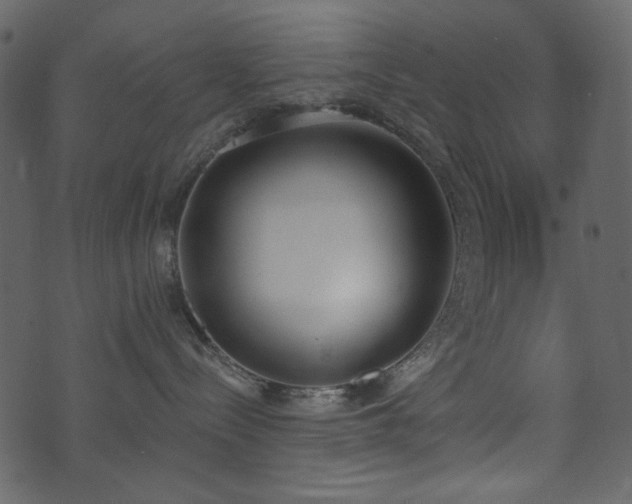 X0000071770288200606301203