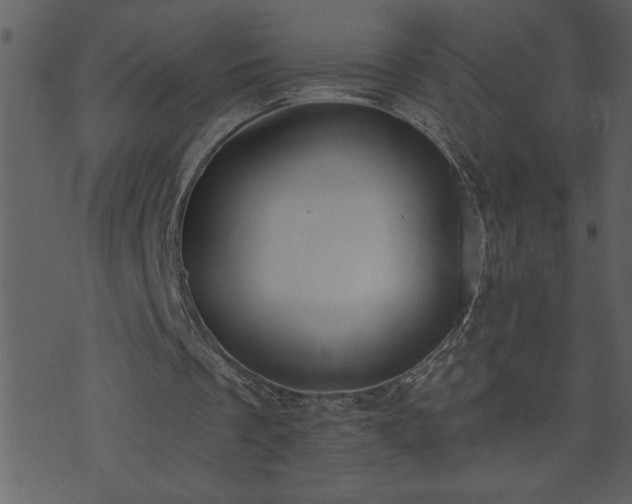 X0000071770289200606301202