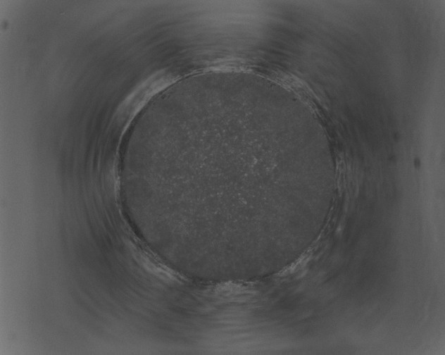 X0000071770290200606301202