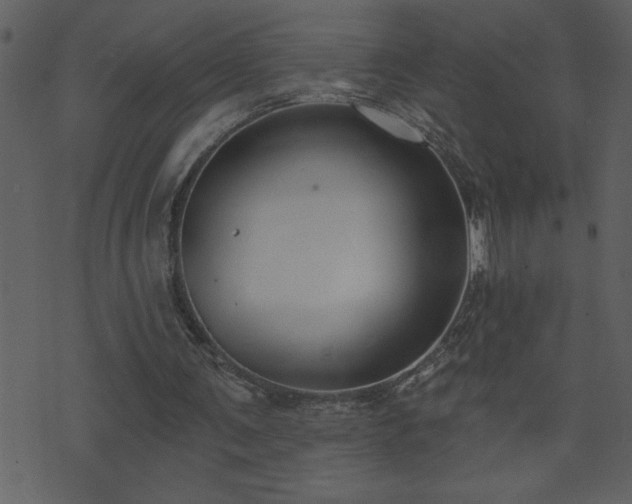 X0000071770291200606301202