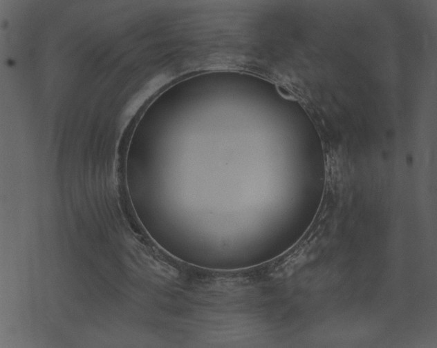 X0000071770292200606301202