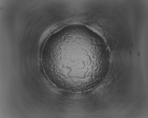 X0000071770293200606301202