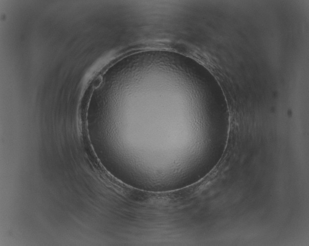 X0000071770294200606301202