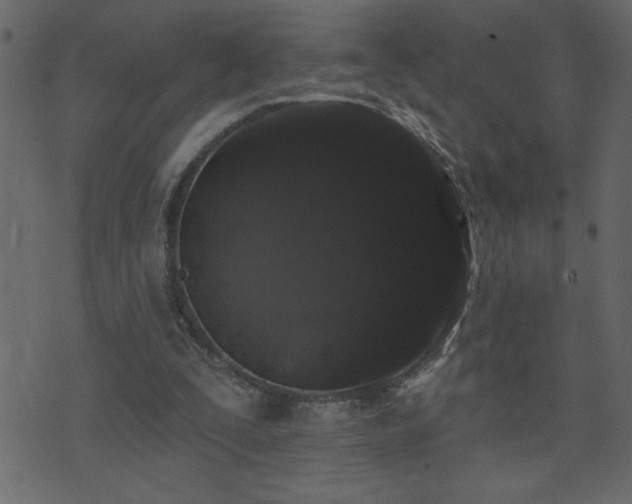 X0000071770295200606301202