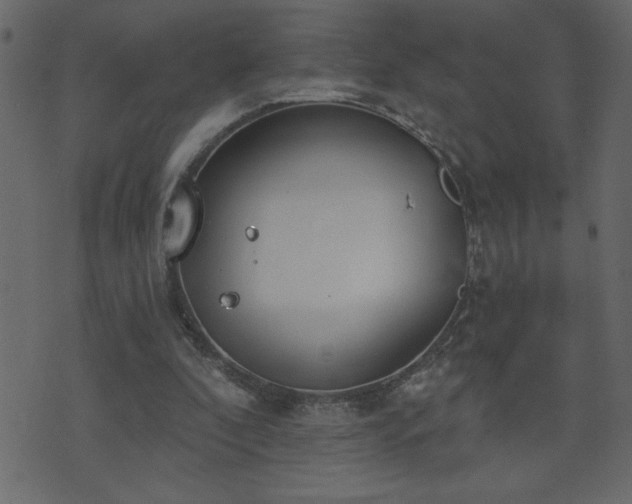 X0000071770296200606301202