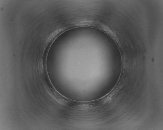 X0000071770298200606301202