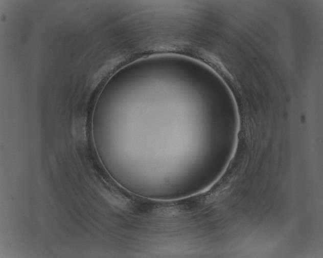 X0000071770299200606301202