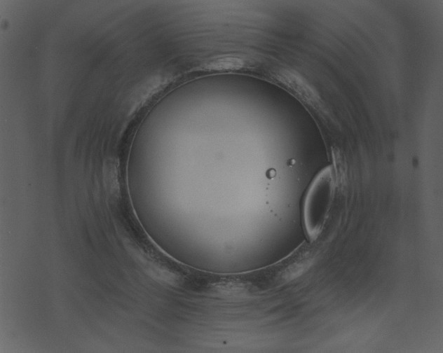 X0000071770300200606301202