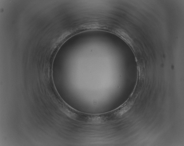 X0000071770301200606301202