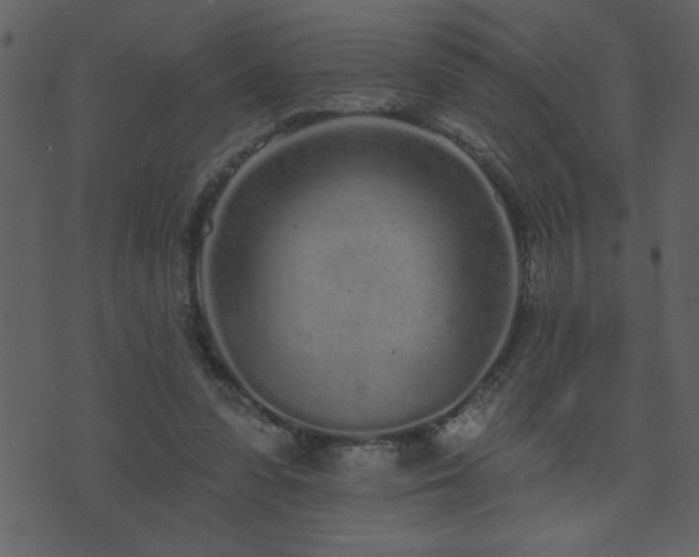 X0000071770303200606301202