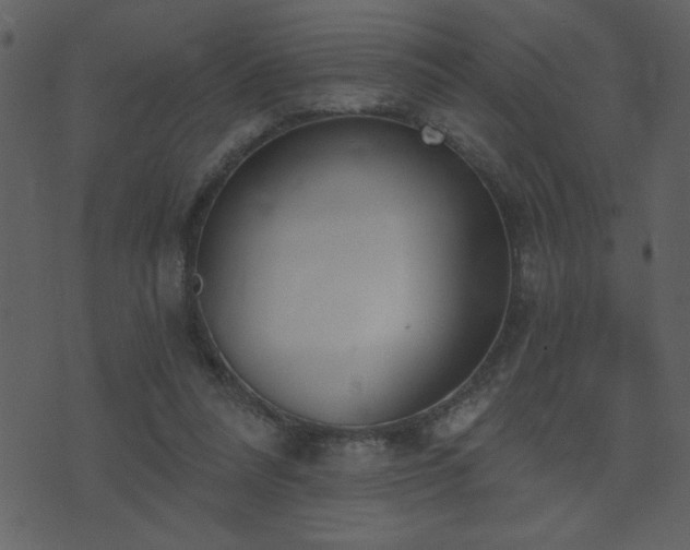 X0000071770304200606301202