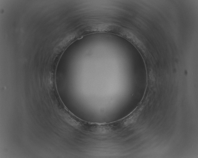 X0000071770305200606301202