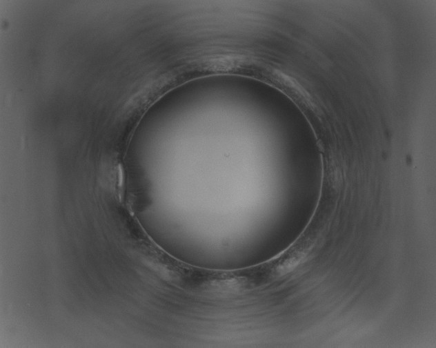 X0000071770307200606301202