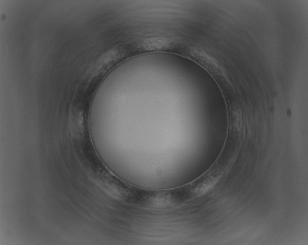 X0000071770308200606301202