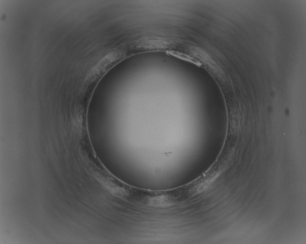 X0000071770309200606301202