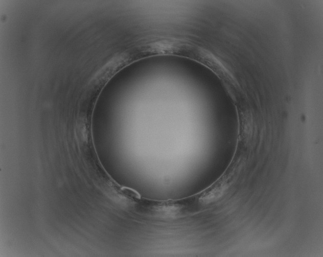 X0000071770313200606301202