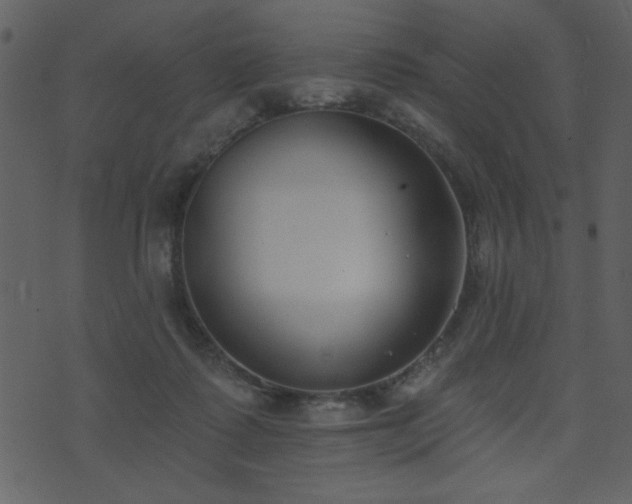 X0000071770315200606301202