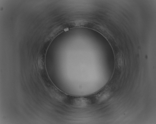 X0000071770316200606301202