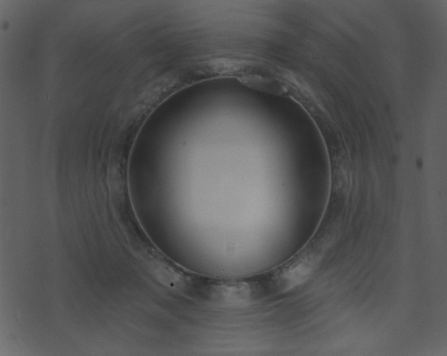 X0000071770317200606301202