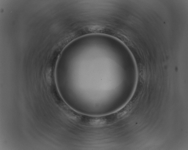 X0000071770319200606301202