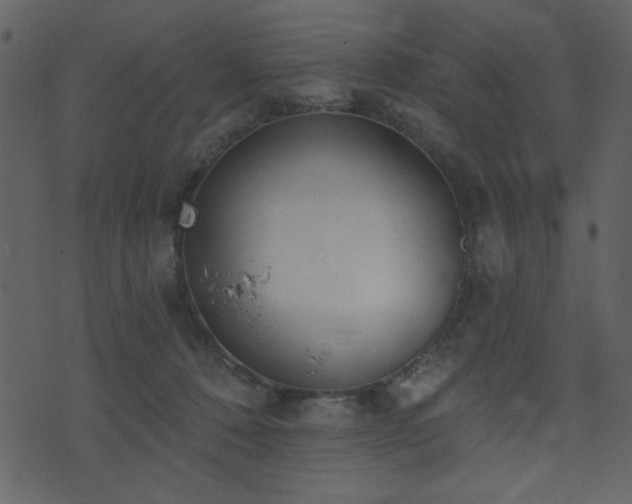 X0000071770320200606301202