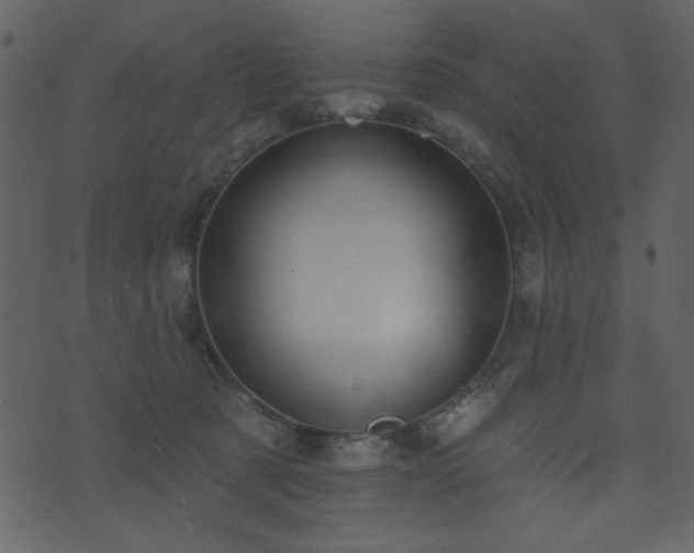 X0000071770321200606301201