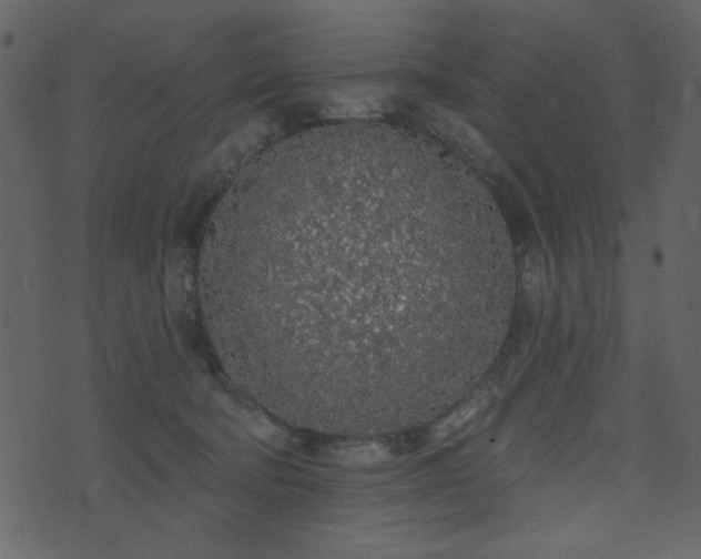 X0000071770322200606301201