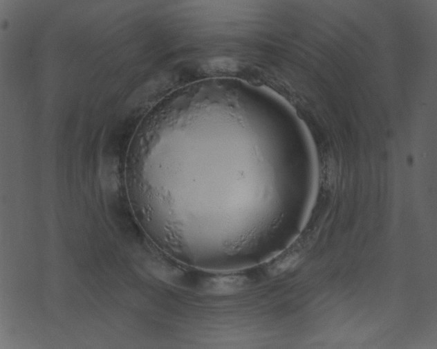 X0000071770323200606301201