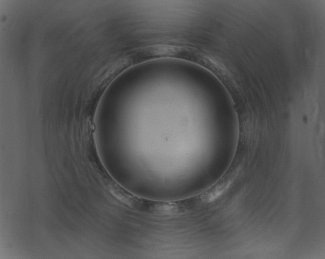 X0000071770325200606301201