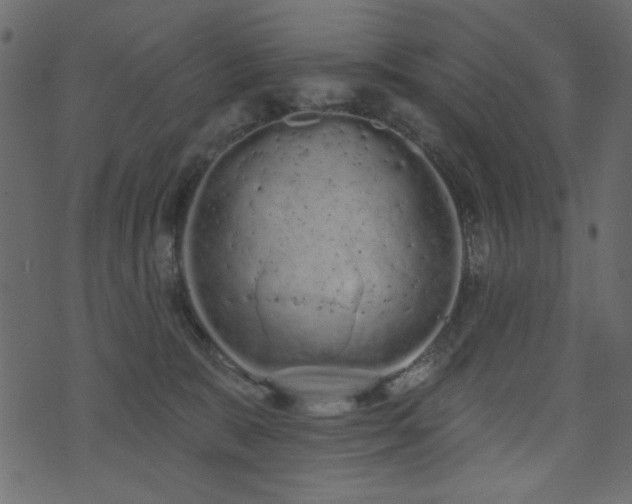 X0000071770327200606301201