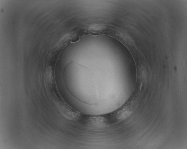 X0000071770328200606301201