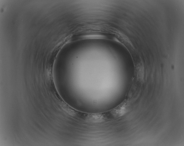 X0000071770329200606301201