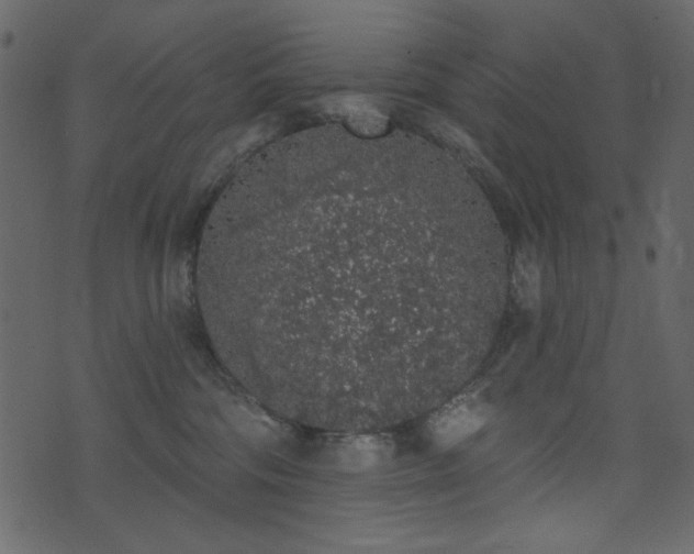 X0000071770330200606301201