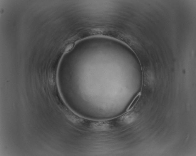 X0000071770331200606301201