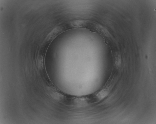 X0000071770332200606301201