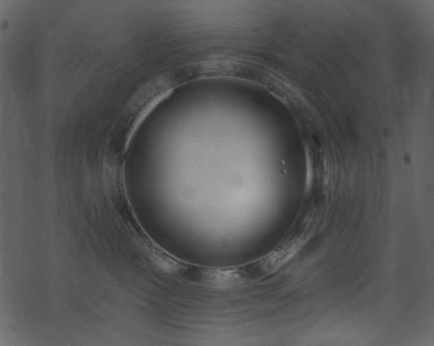 X0000071770333200606301201