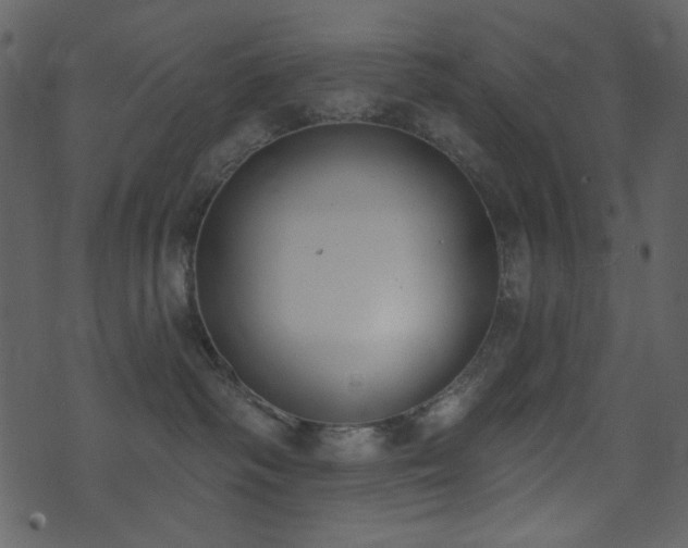 X0000071770334200606301201