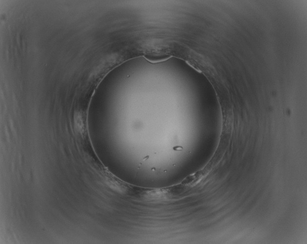 X0000071770335200606301201