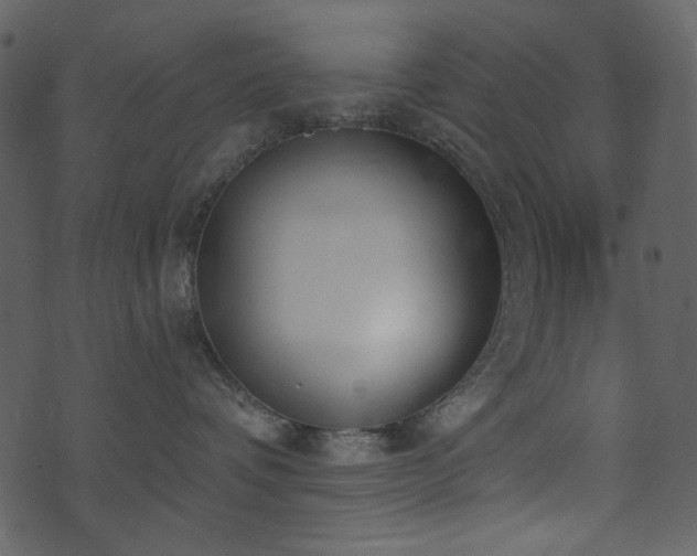 X0000071770336200606301201