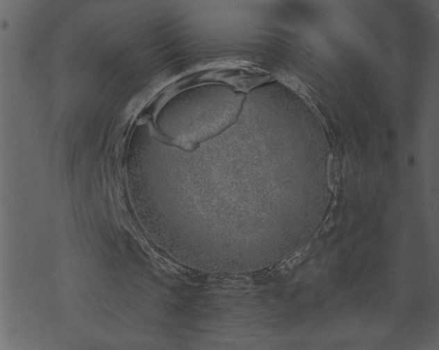 X0000071770337200606301200